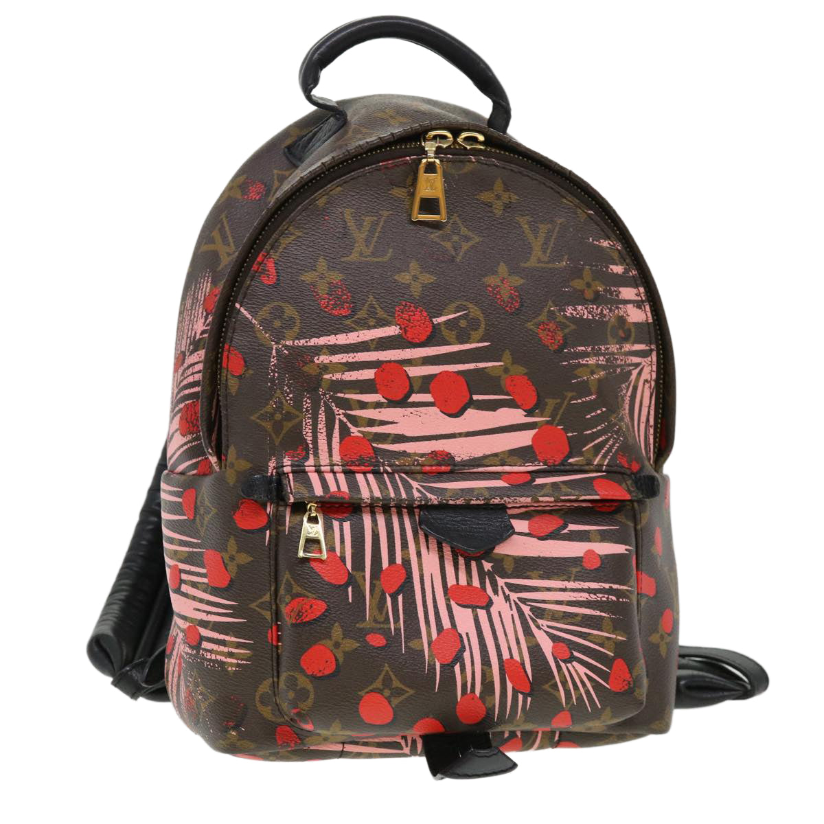 Louis Vuitton Jungle Dots Palm Springs Backpack in Brown Monogram