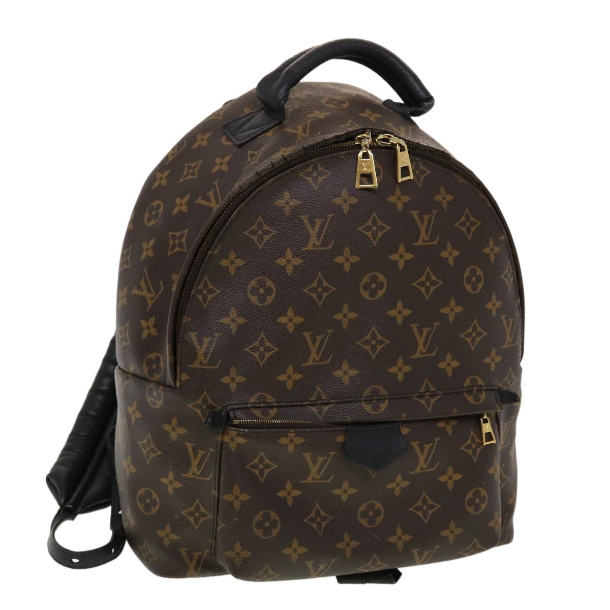 Louis Vuitton Monogram Palm Springs MM Brown Leather Women's