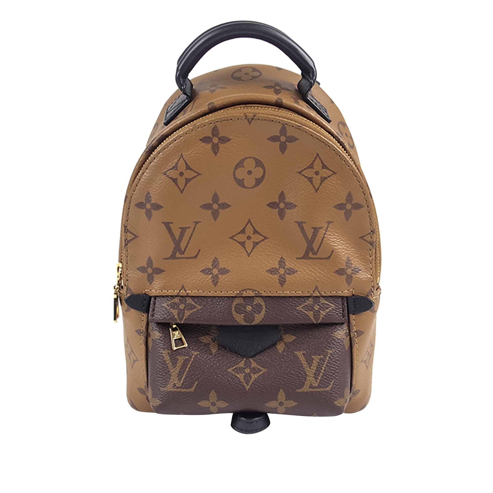 Louis Vuitton Palm Springs Mini Backpack Monogram