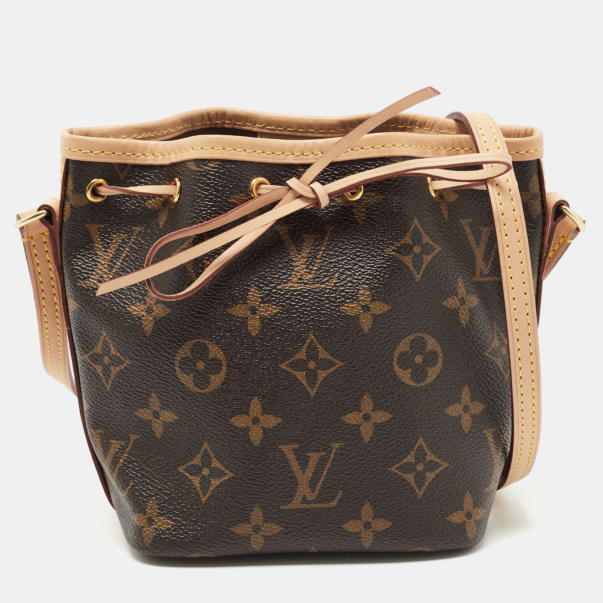 Louis Vuitton Monogram Canvas Nano Noe Bag