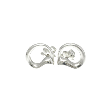 Tiffany & Co Eternal circle Earrings