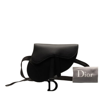 Dior Saddle Handbag