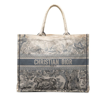 Dior Book Tote