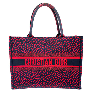 Dior Book Tote Handbag