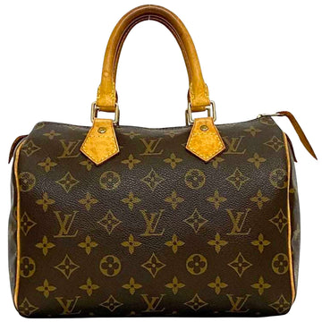 LOUIS VUITTON Speedy 25 Handbag