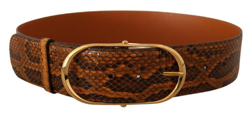 Dolce & Gabbana Women's Brown Exotic Leather Gold Oval Buckle Belt