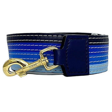 Loewe Women's Blue Leather Box Bag in Blue