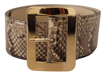 Dolce & Gabbana Women's Brown Exotic Wide Waist Leather Gold Metal Buckle Belt