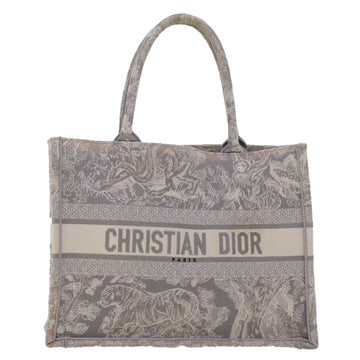 Dior Book Tote