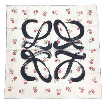 LOEWE Scarves