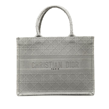 DIOR Medium Cannage Embroidered Book Tote Tote Bag