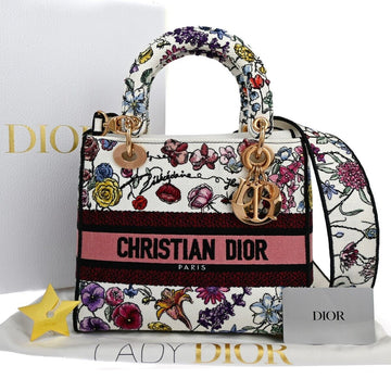 Dior Lady DLight Handbag