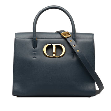 DIOR Large Calfskin Saint Honore Satchel