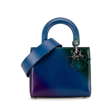 DIORMedium Ombre Lady  Satchel