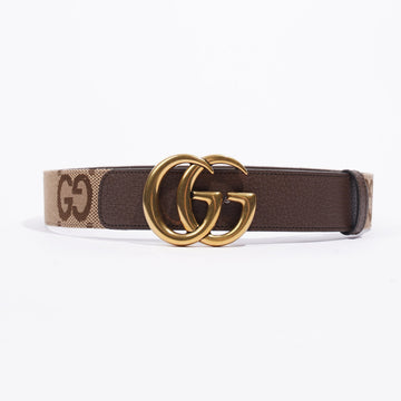 Gucci Jumbo GG Marmont Belt Brown / Gold Buckle Canvas 80cm 32