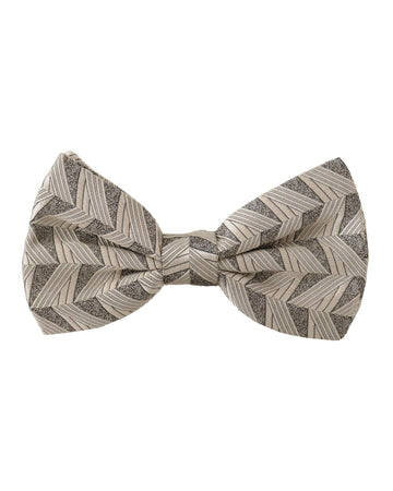 Dolce & Gabbana Men's Gray 100% Silk Adjustable Neck Papillon Bow Tie