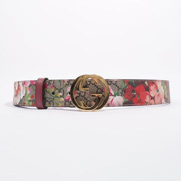 Gucci Interlocking Belt Floral / Supreme Canvas 95cm 38