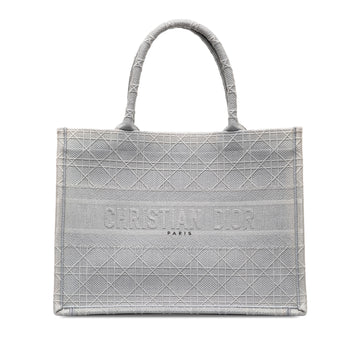 DIOR Medium Cannage Embroidered Book Tote Tote Bag