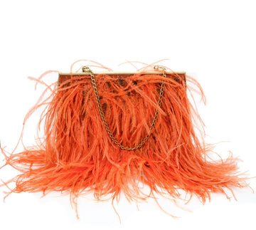Feather Embellished Clutch Bag