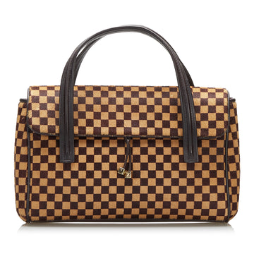 Louis Vuitton Damier Sauvage Lionne Handbag