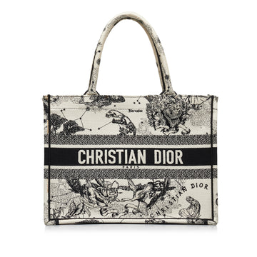 DIOR Small Zodiac Book Tote Tote Bag