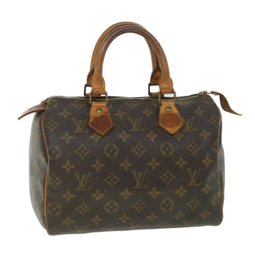 LOUIS VUITTON Speedy 25 Handbag