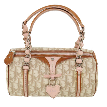 Dior Trotteur Handbag