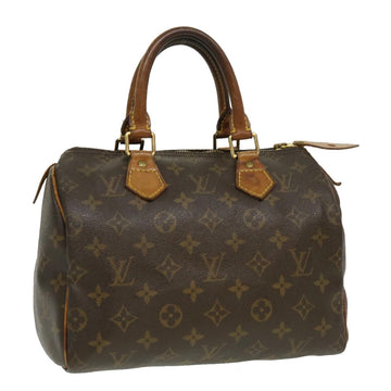 Louis Vuitton Speedy 25 Handbag