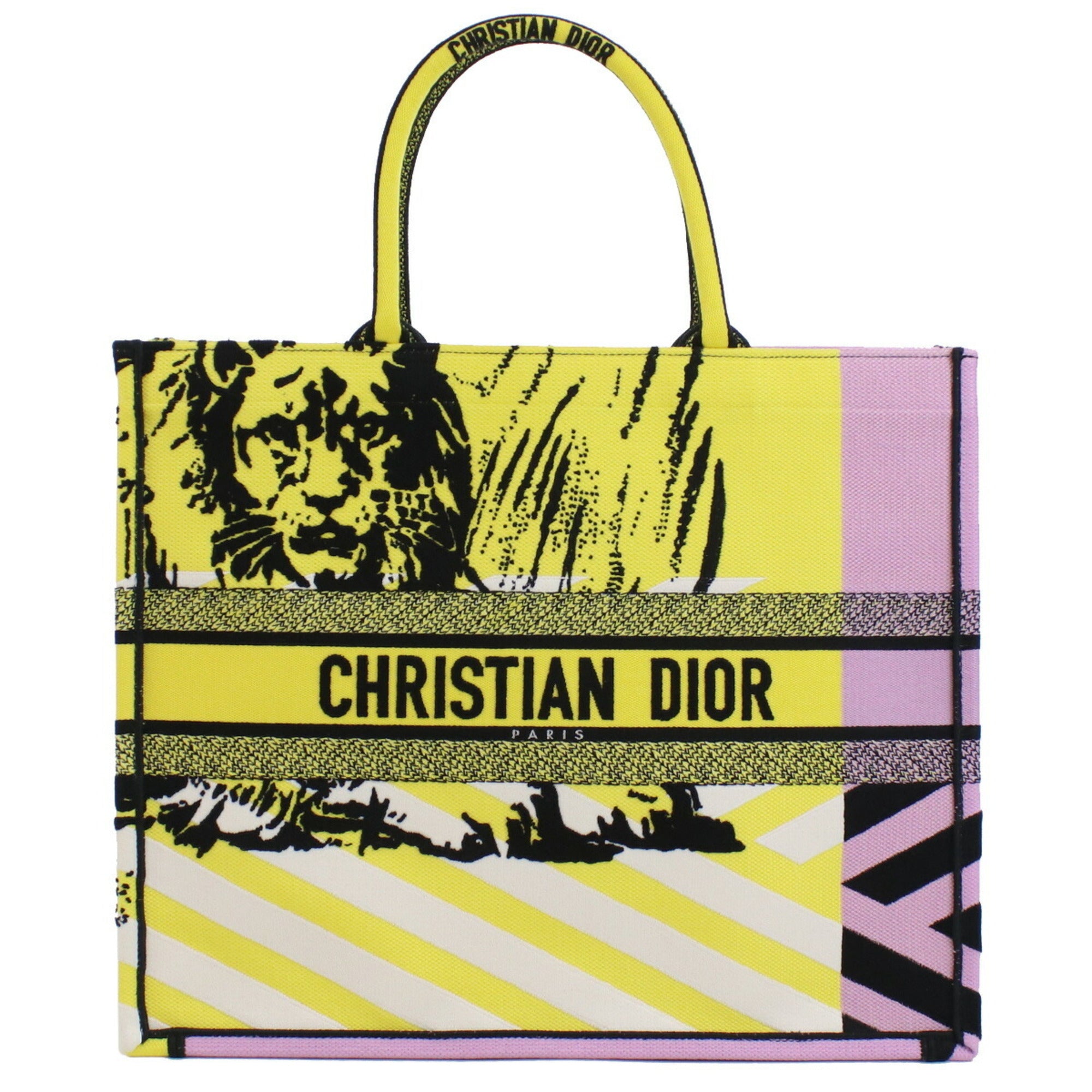 Christian dior 2025 tote bag multicolor