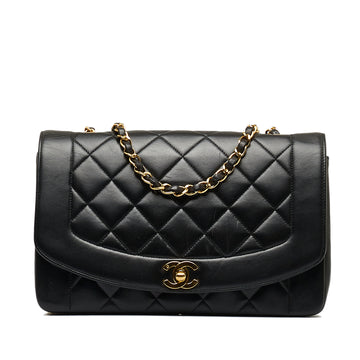 CHANEL Medium Lambskin Diana Flap Crossbody Bag