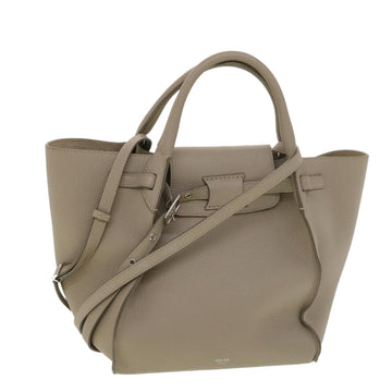 CELINE Big Bag Small Long Strap Hand Bag Leather Gray 183313A4T Auth 39321