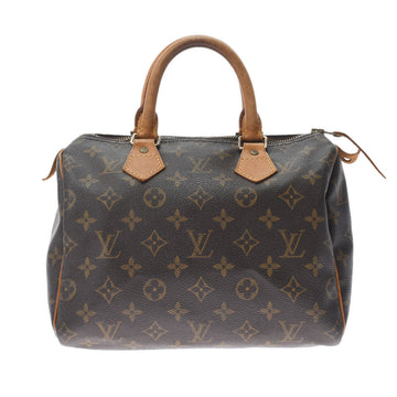 Louis Vuitton Speedy 25 Handbag