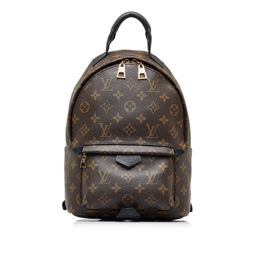 LOUIS VUITTON Monogram Palm Springs PM Backpack