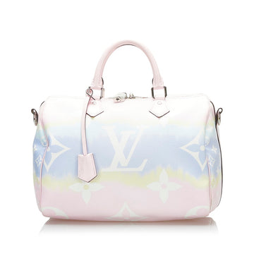 Louis Vuitton Speedy 30 Handbag