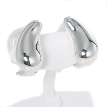 Tiffany & Co Larme Earrings