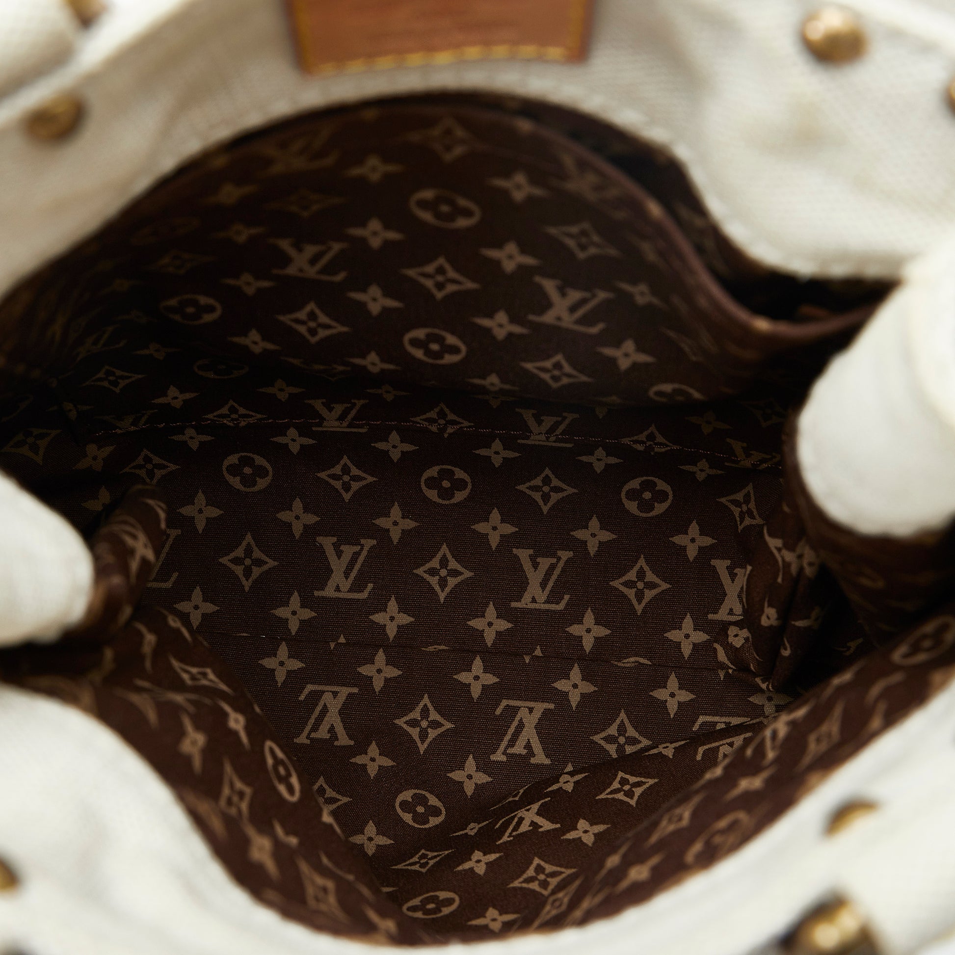 Louis Vuitton, Bags, Louis Vuitton Globe Shopper Cabastote Pm
