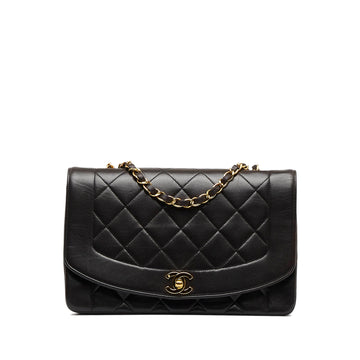 CHANEL Medium Diana Flap Bag