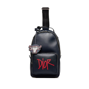 DIOR x Shawn Stussy Year of the Ox Sling Backpack