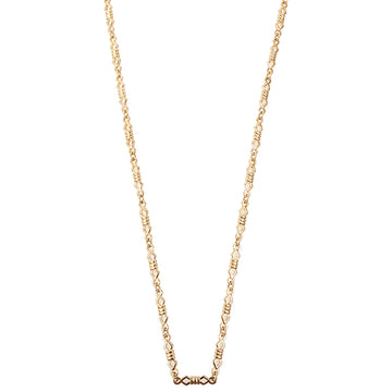 DIOR Design Plate Long Chain Necklace