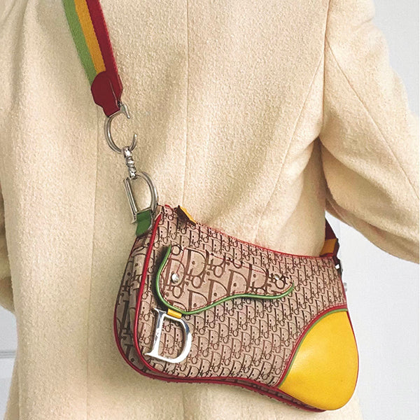 Dior rasta clearance saddle bag