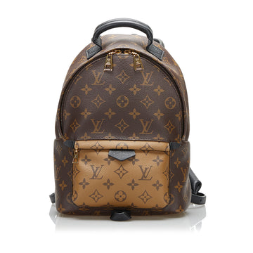 Louis Vuitton Monogram Reverse Palm Springs PM Backpack