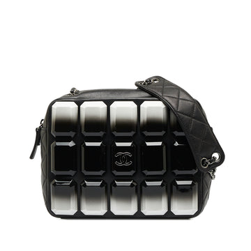 CHANEL Lambskin Plexiglass Evening Art Camera Bag