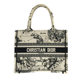 DIOR Small Zodiac Book Tote Tote Bag