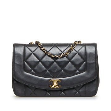 CHANEL Diana Flap Crossbody Bag