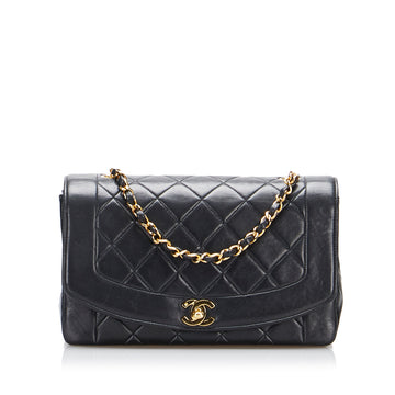 CHANEL Diana Crossbody Bag