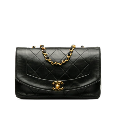 CHANEL Small Lambskin Diana Crossbody Bag