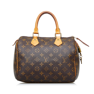 LOUIS VUITTON Monogram Speedy 25 Boston Bag