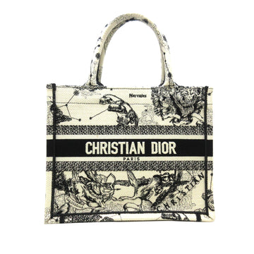 DIOR Small Zodiac Book Tote Tote Bag