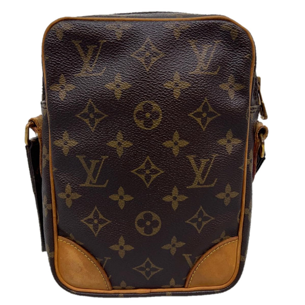 Monogram Leather Danube GM Cross Body Bag (Authentic Pre-Owned) – The Lady  Bag