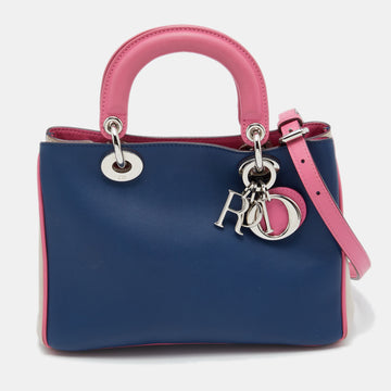 DIOR Tricolor Leather Mini issimo Bag